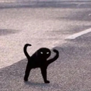 🤬 gatto, meme, dark, umorismo telegram sticker