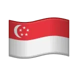 🇸🇬