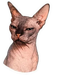🤨 telegram sticker