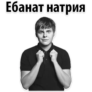🐸 Ебанат натрия russo, offensivo, sticker, meme telegram sticker
