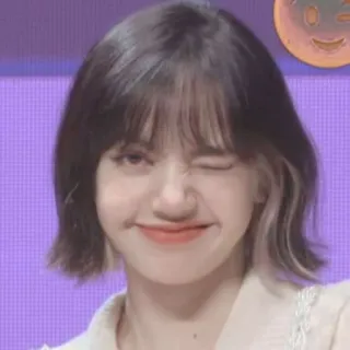 🌼 Lisa Kpop, Blackpink, Певица, Женщина, Знаменитость, Лиса, Айдол telegram sticker