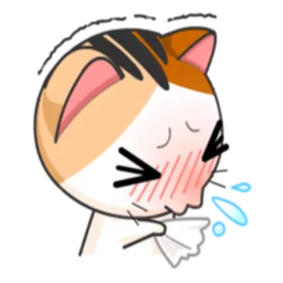 🤒 gato, doente, espirro, tosse, doente, lenço, desenho animado, animal telegram sticker