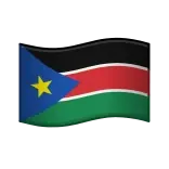🇸🇸