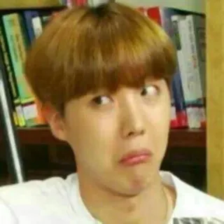 😐 cara engraçada, meme, reação, kpop, Hoseok, J-Hope whatsapp sticker