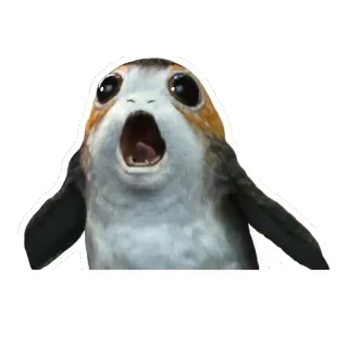 😱 Porg Star Wars porg, star wars, los últimos jedi, lindo, pájaro telegram sticker