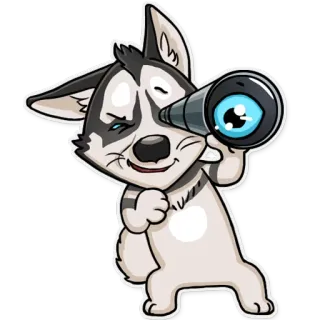 😳 dog, husky, spyglass, animal, cartoon, observation whatsapp sticker