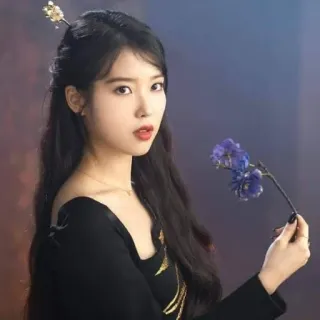💐 IU chanteuse, coréen(ne), femme, fleur, portrait, célébrité, actrice whatsapp sticker