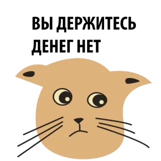 💸 gato, animal, adesivo, fofo, desenho animado, ilustração telegram sticker