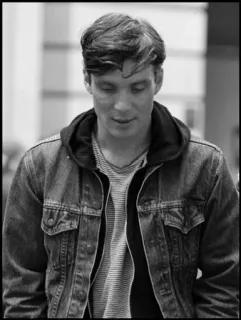 ◾ hombre, chaqueta vaquera, sudadera con capucha, retrato, Cillian Murphy telegram sticker
