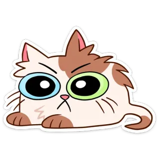 😡 Katze, Cartoon, süß, lustig, Tier, Sticker telegram sticker
