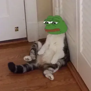 📎 Pepe the Frog pepe, rana, meme de internet, meme, gato, triste whatsapp sticker