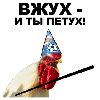 🤘 ВЖУХ... И ТЫ ПЕТУХ! Vogel, Tier, Beleidigung, Magie, Hahn telegram sticker