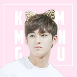 🙁 Kim Mingyu KIM MINGYU kpop, idol, portrait, person, teen, celebrity telegram sticker