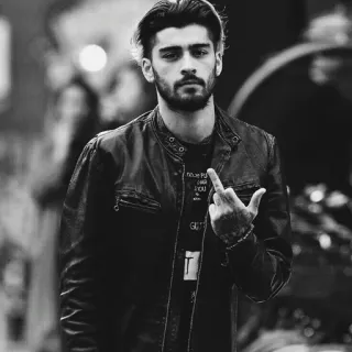 ☁️ Zayn Malik 泽恩·马利克, 中指, 冒犯手势, 歌手, 名人 telegram sticker