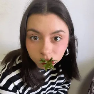 🥬 женщина, портрет, молодая, в помещении, кэжуал, селфи, лицо, лист клубники telegram sticker