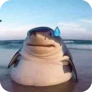 😅 Left Shark Katy Perry Super Bowl Halftime Show shark, left shark, meme, funny, ocean, beach, sweating, awkward telegram sticker