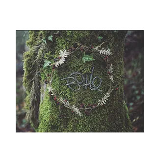 🍃 BOHO ボヘミアン, ボヘミアン, リース, 自然, 苔, 葉 telegram sticker