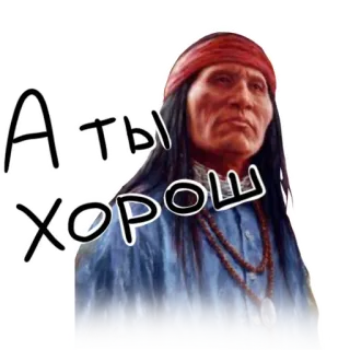 👌 АЛТЫ ХОРОШ Native American, man, portrait, Russian text telegram sticker