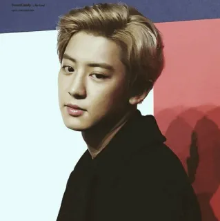 ☁️ DreamerCandy-No Love coreano, kpop, idol, cantante, celebrità, musica, ritratto telegram sticker