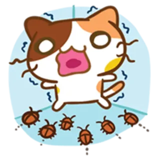 What does the cat say ... Meow @Nekosticker telegram stickers