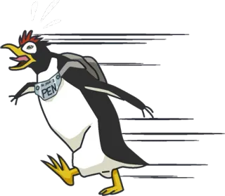 🏃 PEN 3 pingouin, animal, course, drôle, oiseau telegram sticker
