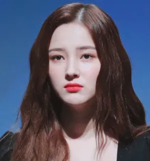 🧚‍♀ Nancy kpop, penyanyi, selebriti, wanita, potret whatsapp sticker