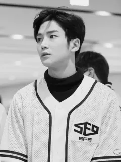🎲 SF9 K-pop, boy band, cantor, música, SF9 telegram sticker