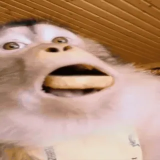 😦 monkey, ape, animal, funny, meme telegram sticker