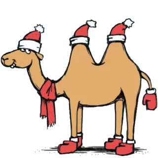🐫 อูฐ, คริสต์มาส, หมวกซานต้า, ฤดูหนาว, สัตว์, วันหยุด telegram sticker