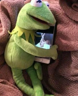 💜 Kermit the Frog Kermit, grenouille, marionnette, mème, téléphone whatsapp sticker