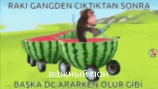 🐵 RAKI GANGDEN CIKTIKTAN SONRA 
важный пон
BAŞKA DC ARARKEN OLUR GIBI Affe, Wassermelone, Fahrzeug, Lustig telegram sticker