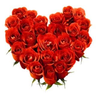 🌸 hoa, hoa hồng, trái tim, tình yêu, lãng mạn, valentine, hoa lá telegram sticker