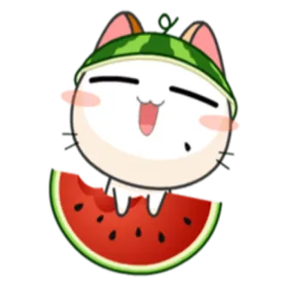 🌰 gato, melancia, fofo, desenho animado, kawaii, adesivo telegram sticker