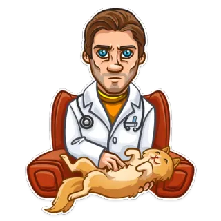 🐈 médico, veterinário, gato, animal, animal de estimação, desenho animado telegram sticker