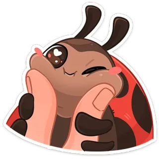 ☺️ เต่าทอง, น่ารัก, แมลง, คาวาอิ, แมลง, สติกเกอร์ telegram sticker