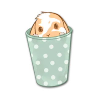 👀 うさぎ, 動物, カップ, ペット, かわいい, イラスト telegram sticker