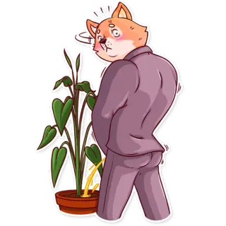 🚽 chat, costume, plante, pipi, animal, drôle whatsapp sticker