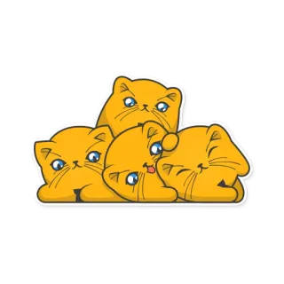👫 kucing, hewan, imut, anak kucing, lucu whatsapp sticker