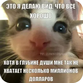 👍 ЭТО Я ДЕЛАЮ ВИД, ЧТО ВСЕ
ХОРОШО
ТГ ПРИКОЛЬЧИК
ХОТЯ В ГЛУБИНЕ ДУШИ МНЕ ТАК НЕ
ХВАТАЕТ НЕСКОЛЬКО МИЛЛИОНОВ
ДОЛЛАРОВ 猫, 梗, 搞笑, 小猫, 幽默, 俄语 whatsapp sticker