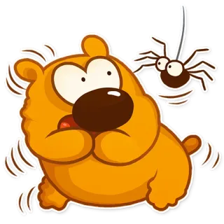 😨 orso, ragno, cartone animato, paura, animale, adesivo telegram sticker