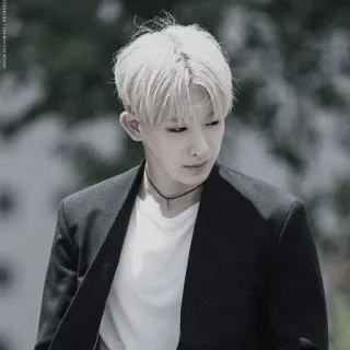 🌒 человек, мужчина, портрет, пиджак, kpop telegram sticker