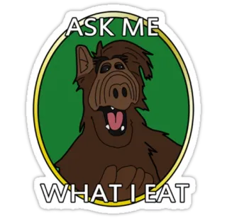 😏 ALF ASK ME WHAT I EAT ALF, Alien, Serie TV, Años 80, Sitcom, Dibujos animados telegram sticker