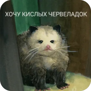 🫥 opossum ХОЧУ КИСЛЫХ ЧЕРВЕЛАДОК telegram sticker