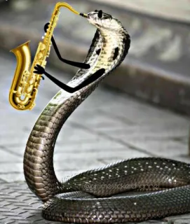 SNAKES @animestickerchannel telegram stickers