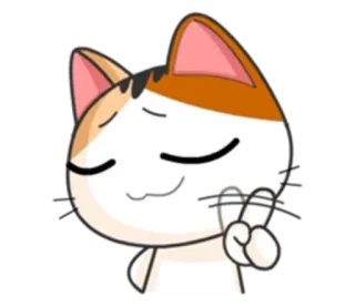 ☝ chat, animal, autocollant, mignon, symbole paix whatsapp sticker