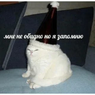 😒 мне не обидно но я запомню แมว, หมวกซานต้า, รัสเซีย, มีม telegram sticker