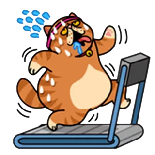 🏃 кот, беговая дорожка, упражнения, пот, фитнес, тренировка, юмор whatsapp sticker