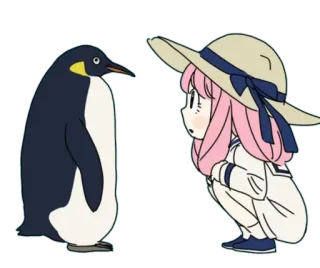 😍 Anime, Pingüino, Chica, Sombrero, Lindo, Dibujos animados whatsapp sticker
