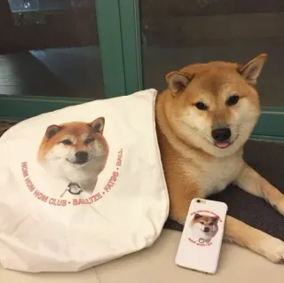 ❤️ HOM HOM CLUB BALLTZE FKT96 BALL dog, shiba inu, cute, animal, pet telegram sticker