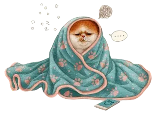 🤧 고양이, 담요, 귀여운, 동물, 졸린, 만화 telegram sticker
